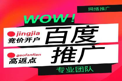 竞价推广代运营助力电商销售额翻倍