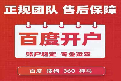 SEM竞价托管实战案例解析